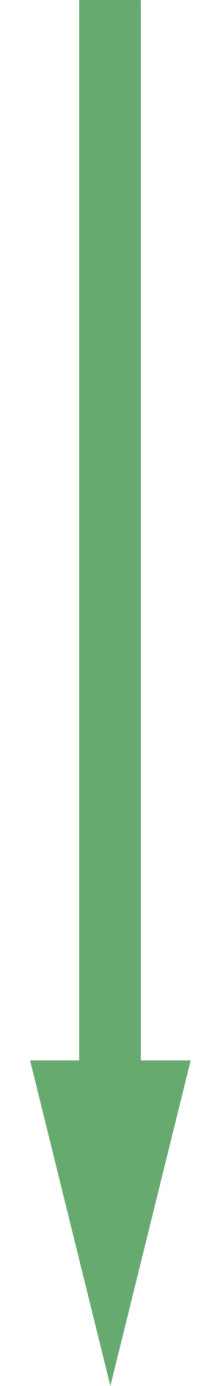 54345